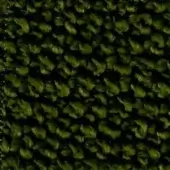 Olive green looped pile fabric with irregular, short loops creating a nubby texture and subtle visual depth; identified as extra 838.